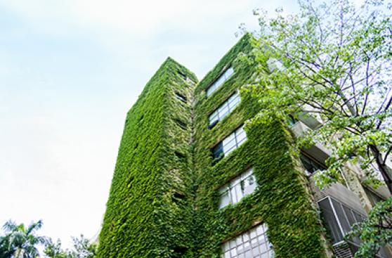 Edificios verdes: la clave para ahorrar agua y luz