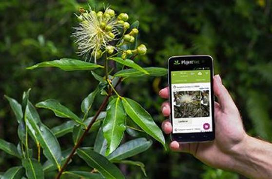 10 apps para aprender ciencia de forma dinámica y entretenida