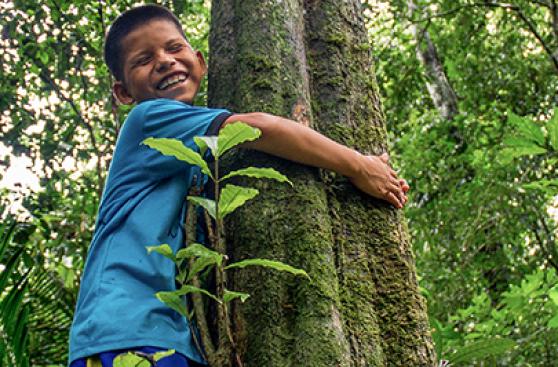 Compensar la huella de carbono: un compromiso con el medio ambiente