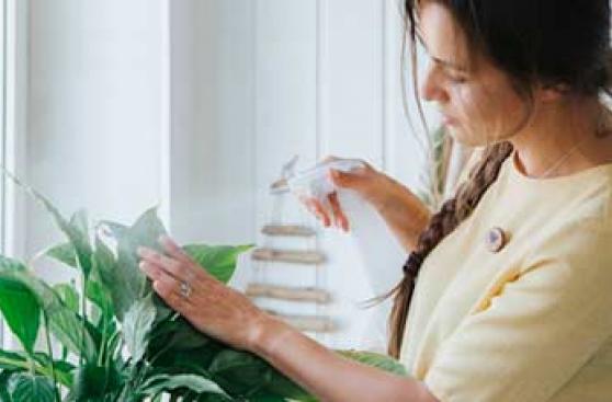 Plantas: consejos prácticos para cuidarlas en este verano