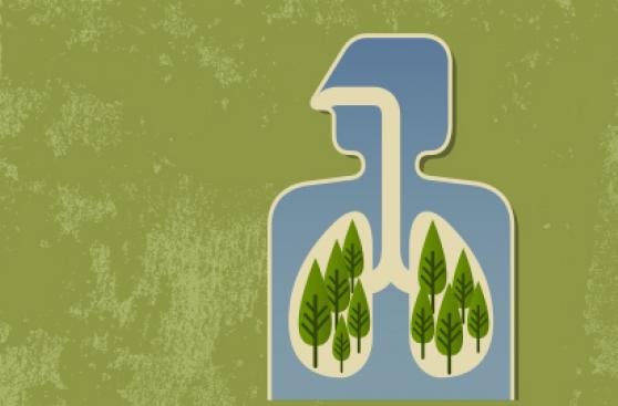 Día del No Fumador: 3 métodos probados para dejar de fumar