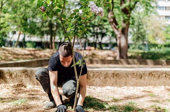 Cambio climático: ¿cómo combatirlo con una ciudad más verde?